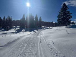 Appmt 4 pers aux pieds des pistes Lamoura